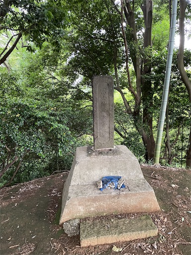 f:id:tmtmz:20220619145441j:image