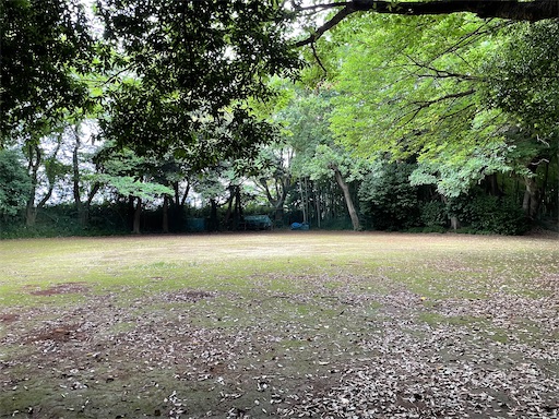 f:id:tmtmz:20220619145446j:image