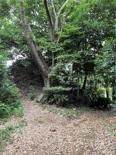 f:id:tmtmz:20220619145527j:image