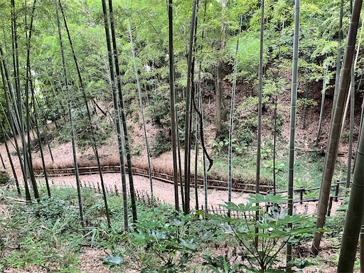 f:id:tmtmz:20220619145529j:image