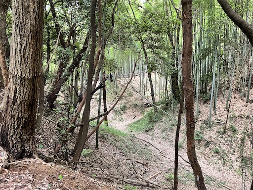 f:id:tmtmz:20220619145550j:image