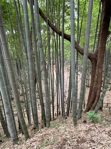 f:id:tmtmz:20220619145619j:image