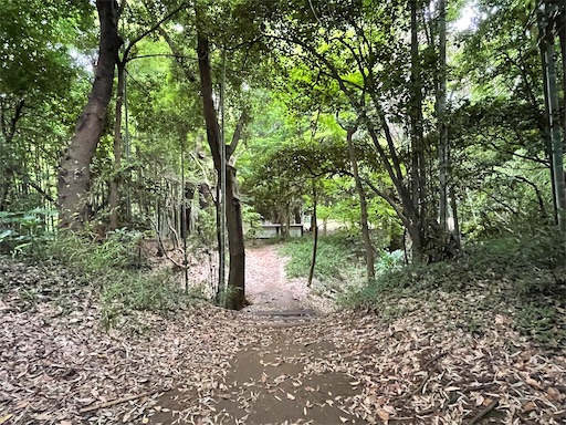 f:id:tmtmz:20220619145639j:image