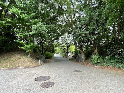 f:id:tmtmz:20220710101911j:image