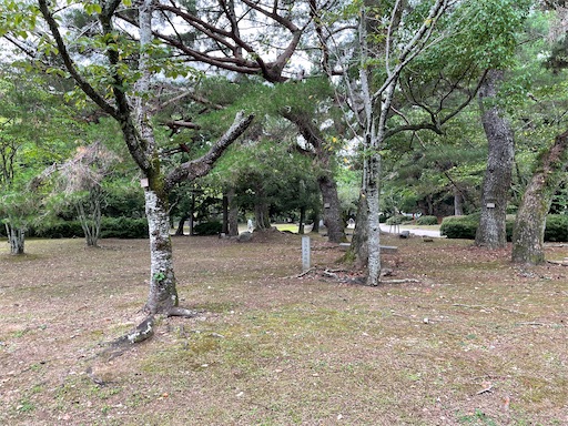 f:id:tmtmz:20220710101925j:image