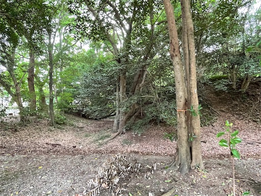 f:id:tmtmz:20220710101927j:image