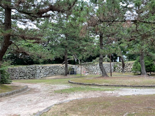 f:id:tmtmz:20220710101956j:image