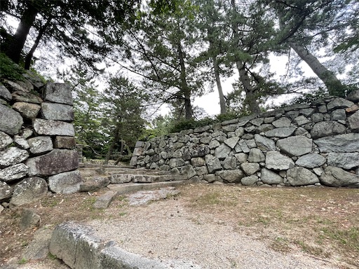 f:id:tmtmz:20220710102008j:image