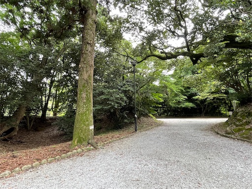 f:id:tmtmz:20220710102013j:image