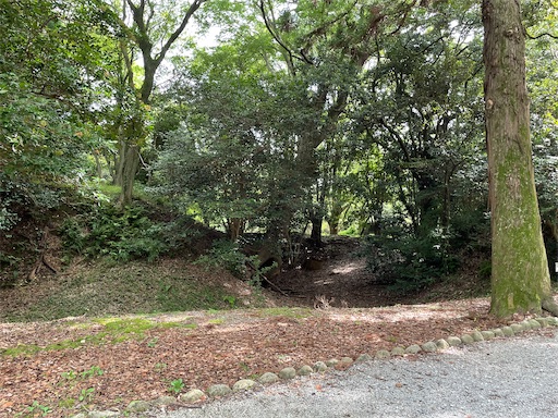 f:id:tmtmz:20220710102036j:image