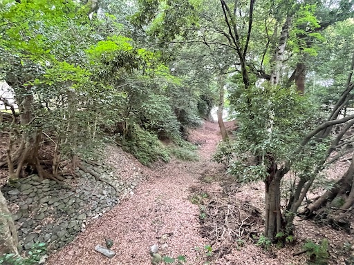 f:id:tmtmz:20220710102045j:image