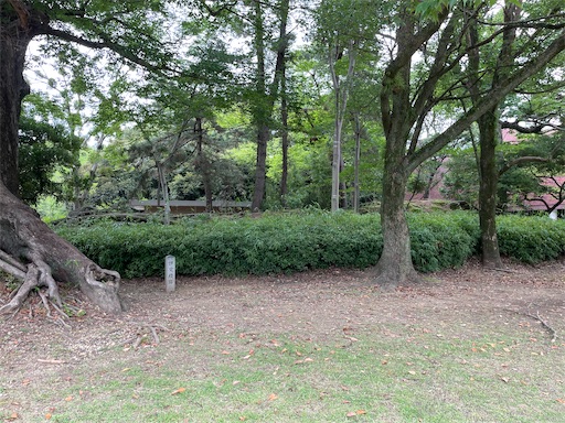 f:id:tmtmz:20220710102048j:image