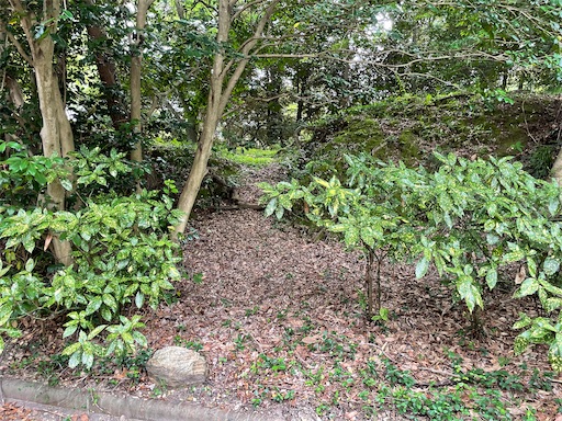 f:id:tmtmz:20220710102140j:image