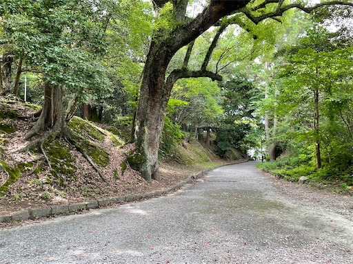 f:id:tmtmz:20220710102146j:image