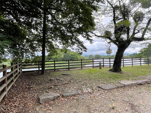 f:id:tmtmz:20220710102204j:image