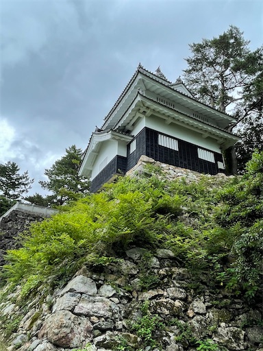 f:id:tmtmz:20220710102250j:image