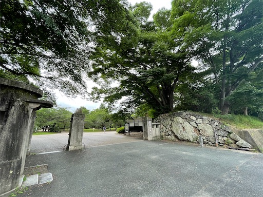 f:id:tmtmz:20220710102318j:image