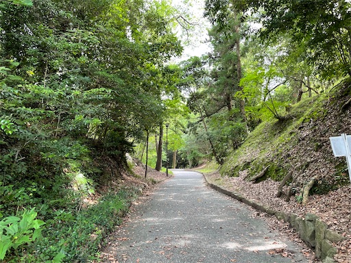 f:id:tmtmz:20220710102334j:image