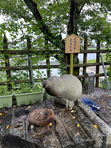 f:id:tmtmz:20220806212158j:image