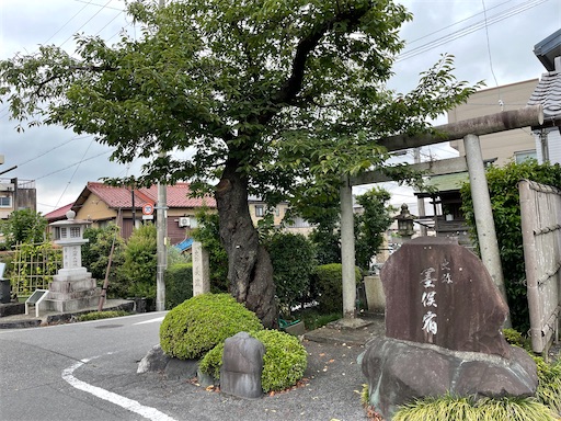 f:id:tmtmz:20220806212352j:image