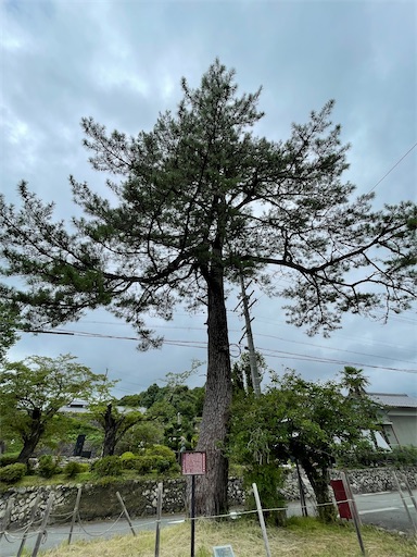 f:id:tmtmz:20220806215619j:image f:id:tmtmz:20220806215619j:image