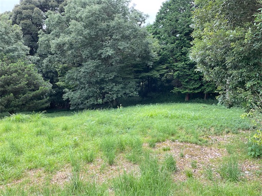 f:id:tmtmz:20220806215629j:image f:id:tmtmz:20220806215629j:image