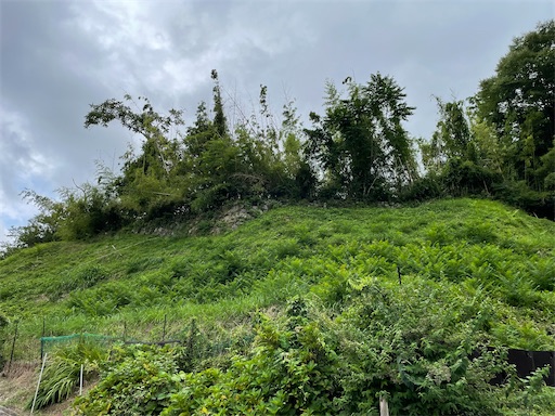 f:id:tmtmz:20220806215703j:image f:id:tmtmz:20220806215703j:image