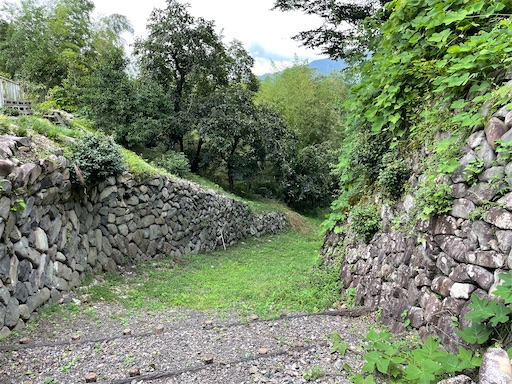 f:id:tmtmz:20220806220027j:image f:id:tmtmz:20220806220027j:image