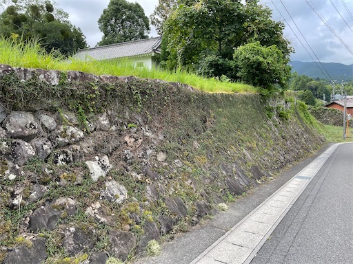 f:id:tmtmz:20220806220032j:image f:id:tmtmz:20220806220032j:image