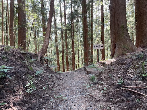 f:id:tmtmz:20220807222252j:image f:id:tmtmz:20220807222252j:image