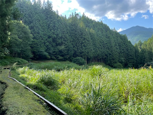 f:id:tmtmz:20220807222301j:image f:id:tmtmz:20220807222301j:image