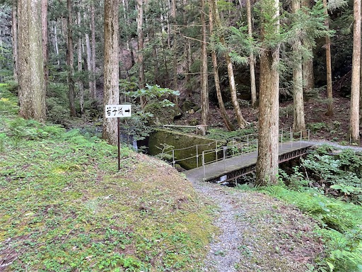 f:id:tmtmz:20220807222314j:image f:id:tmtmz:20220807222314j:image