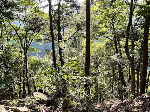 f:id:tmtmz:20220807222320j:image f:id:tmtmz:20220807222320j:image