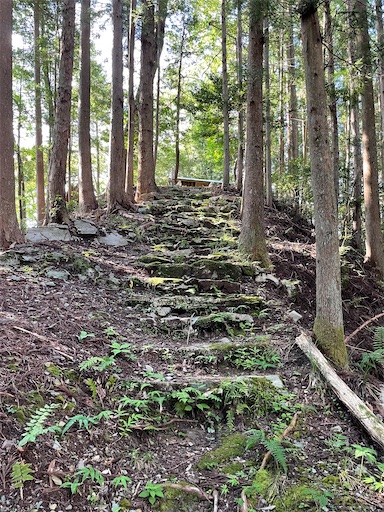 f:id:tmtmz:20220807222335j:image f:id:tmtmz:20220807222335j:image