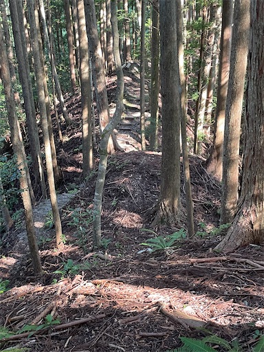 f:id:tmtmz:20220807222414j:image f:id:tmtmz:20220807222414j:image