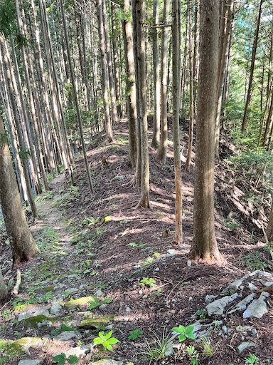 f:id:tmtmz:20220807222425j:image f:id:tmtmz:20220807222425j:image