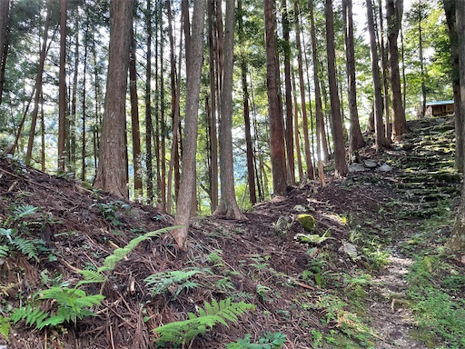 f:id:tmtmz:20220807222433j:image f:id:tmtmz:20220807222433j:image