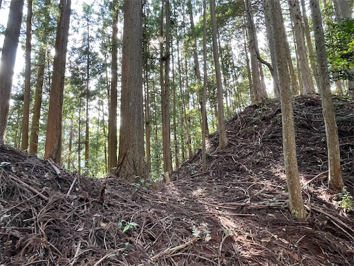 f:id:tmtmz:20220807222444j:image f:id:tmtmz:20220807222444j:image