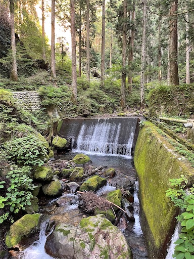 f:id:tmtmz:20220807222453j:image f:id:tmtmz:20220807222453j:image