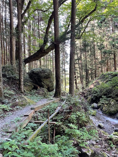 f:id:tmtmz:20220807222530j:image f:id:tmtmz:20220807222530j:image