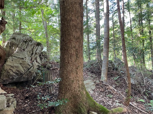 f:id:tmtmz:20220807222536j:image f:id:tmtmz:20220807222536j:image