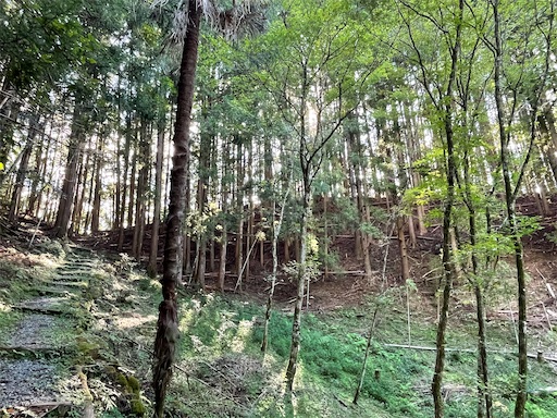 f:id:tmtmz:20220807222545j:image f:id:tmtmz:20220807222545j:image