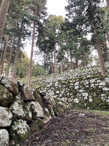 f:id:tmtmz:20221230205721j:image