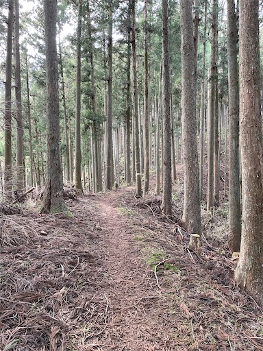 f:id:tmtmz:20230321231837j:image