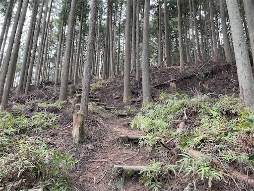 f:id:tmtmz:20230321231846j:image