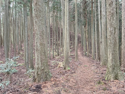 f:id:tmtmz:20230321231849j:image