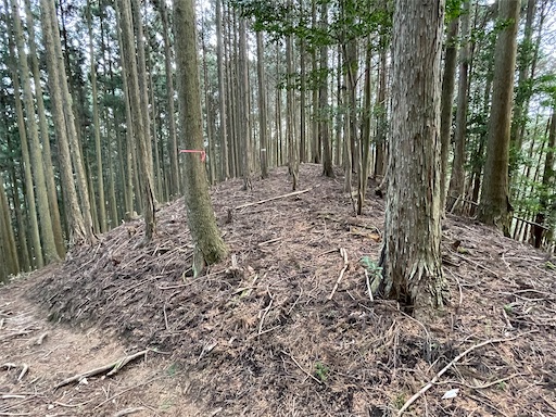 f:id:tmtmz:20230321231855j:image