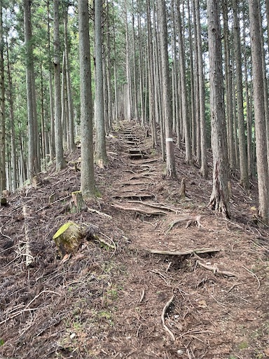 f:id:tmtmz:20230321231900j:image