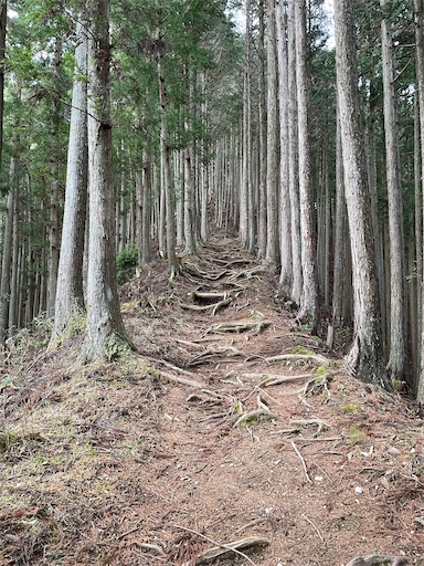 f:id:tmtmz:20230321231903j:image