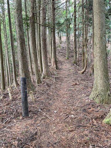 f:id:tmtmz:20230321231934j:image